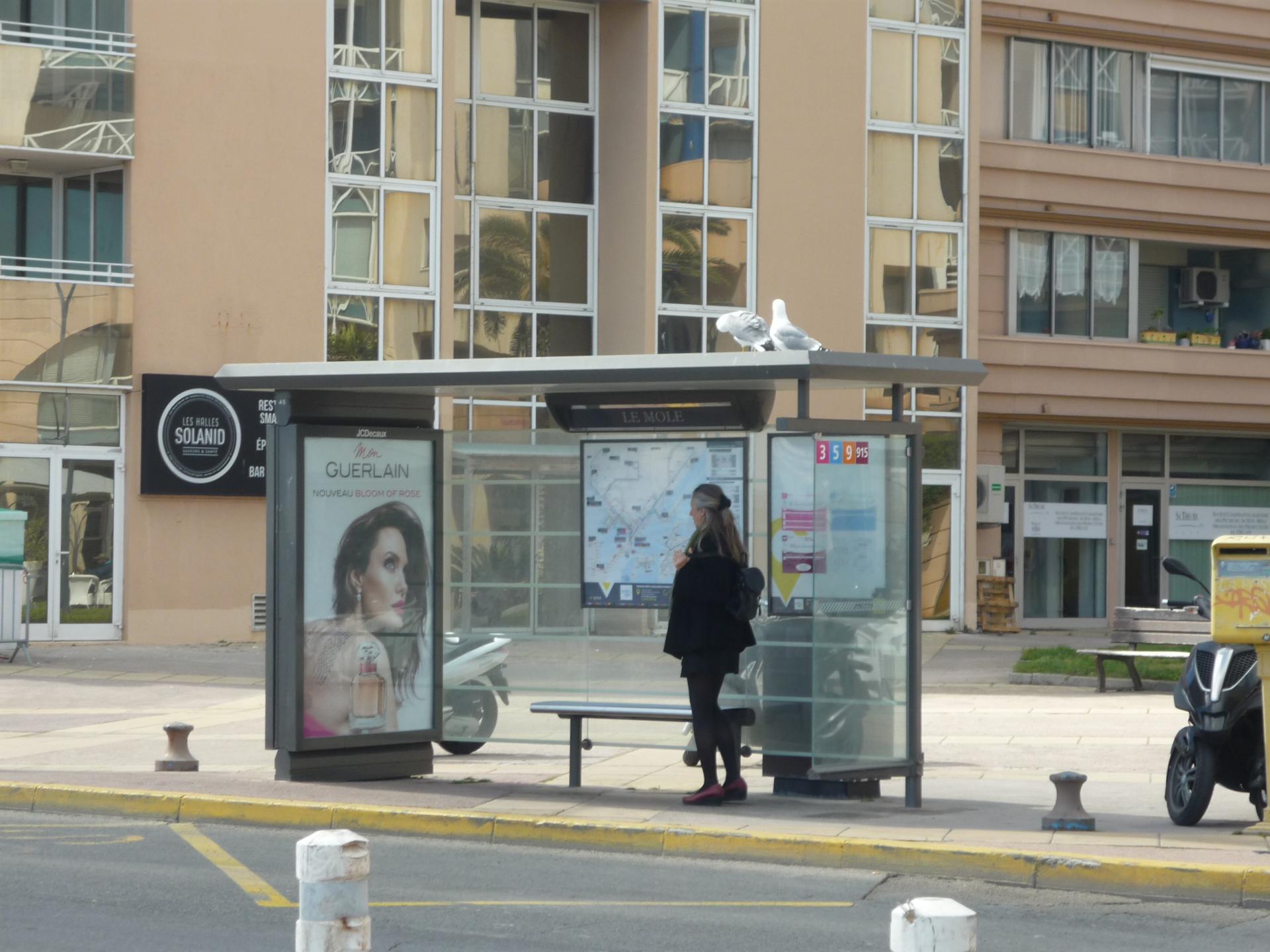 Fiente possible