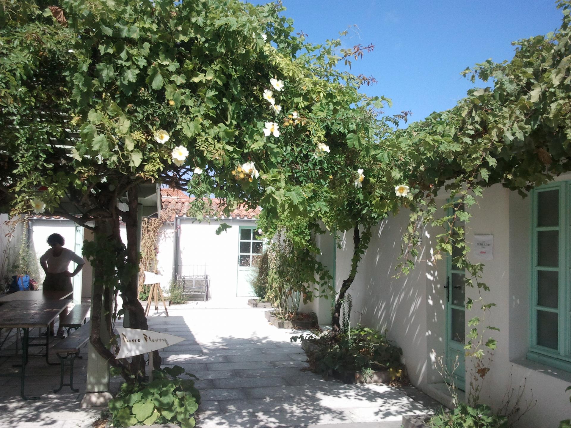 Ile de Ré ou La Rochelle